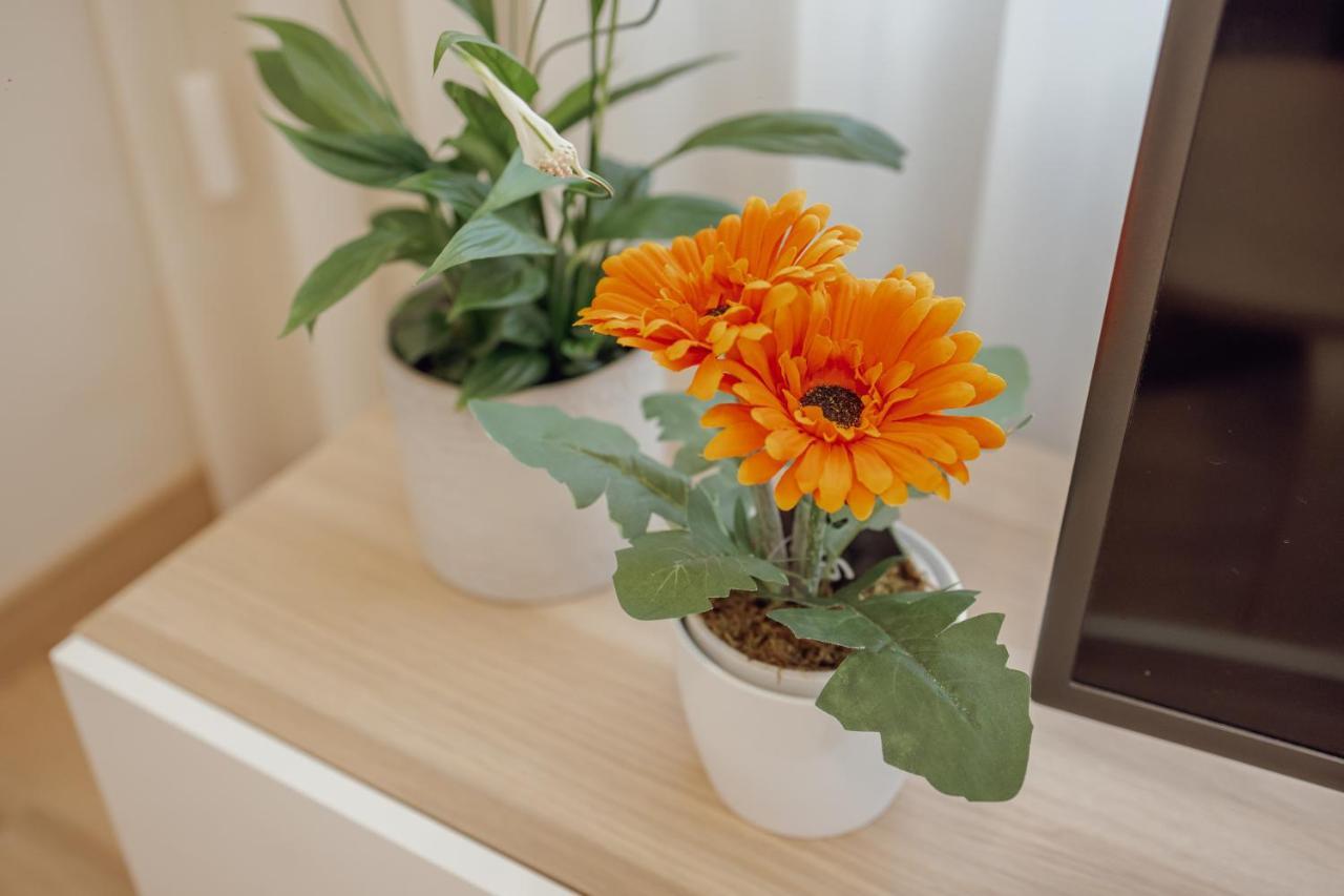 Modern Trindade By Homing Appartement Porto Buitenkant foto